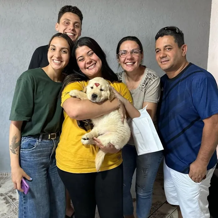 Família cliente do Canil Golden Prime: Família Ribeiro com a Daisy